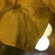 Illustration for article titled 7D vs. D300s ISO Test